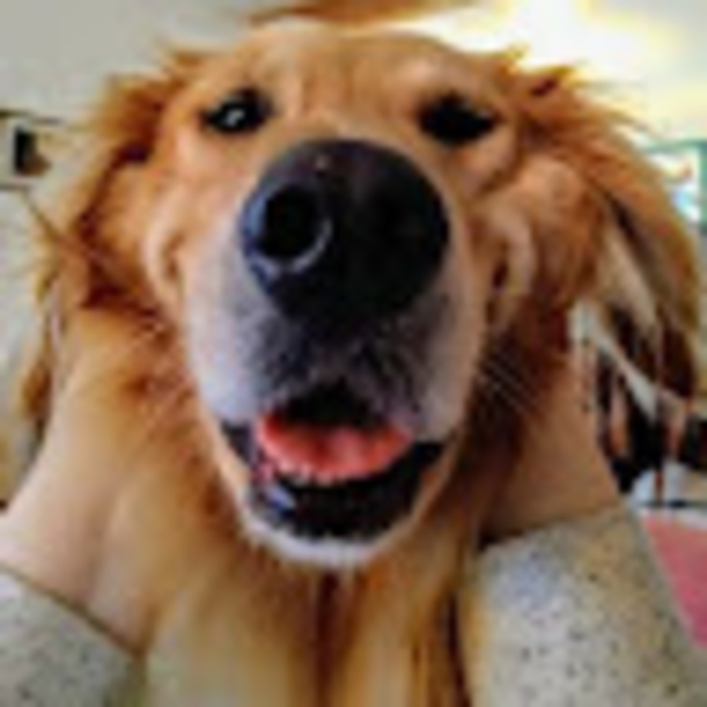 Meet your Posher, Zoe